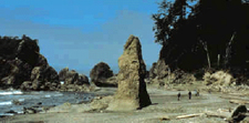 USA-Washington-Vancouver Island - Olympic Peninsula Hiker